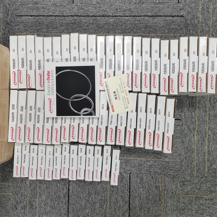 0190-03615 KAYDON軸承 0190-13092 RBC晶圓機器人軸承